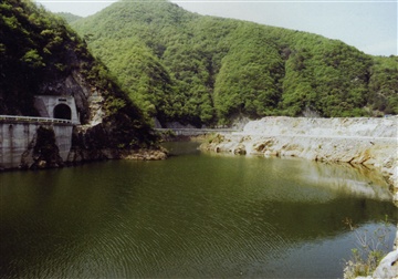 水没した龍化隧道の写真